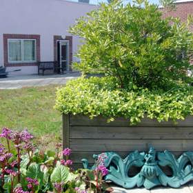 A raised bed in the Bone Infection Garden