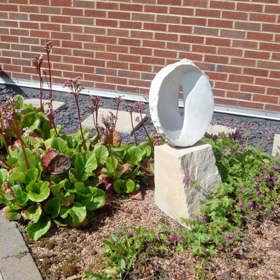 A sculpture in the Bone Infection Garden