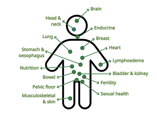 Outline of human body with 15 body parts indicated. Each body part is listed further down this page with a more detailed description.