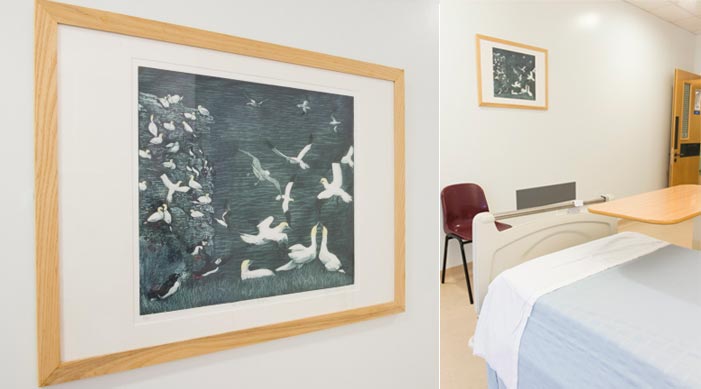 photograph for single rooms in Neurosciences