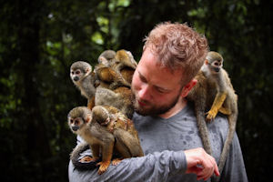 Eight small monkeys sit on a sunburned man's shoulders