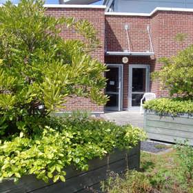 Raised beds in the Bone Infection Garden