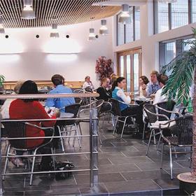 People seated in the restaurant